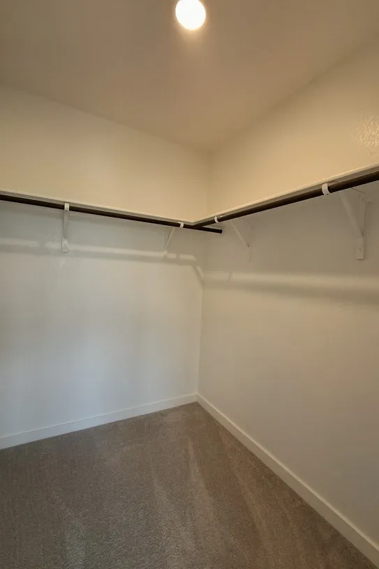 1808 Spring Mountain Cove Georgetown, TX 78628