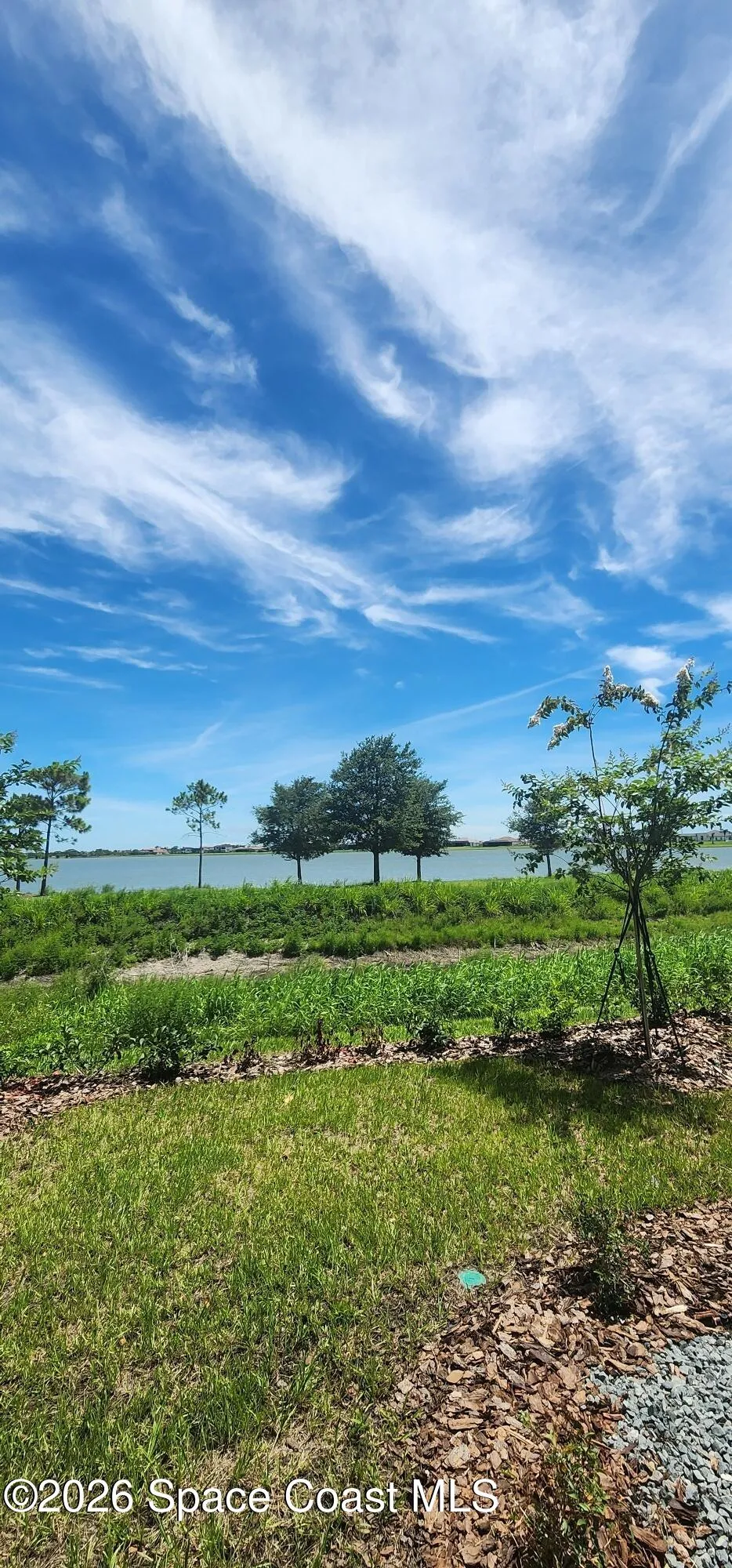 1379 Bluewater Lane Rockledge, FL 32955