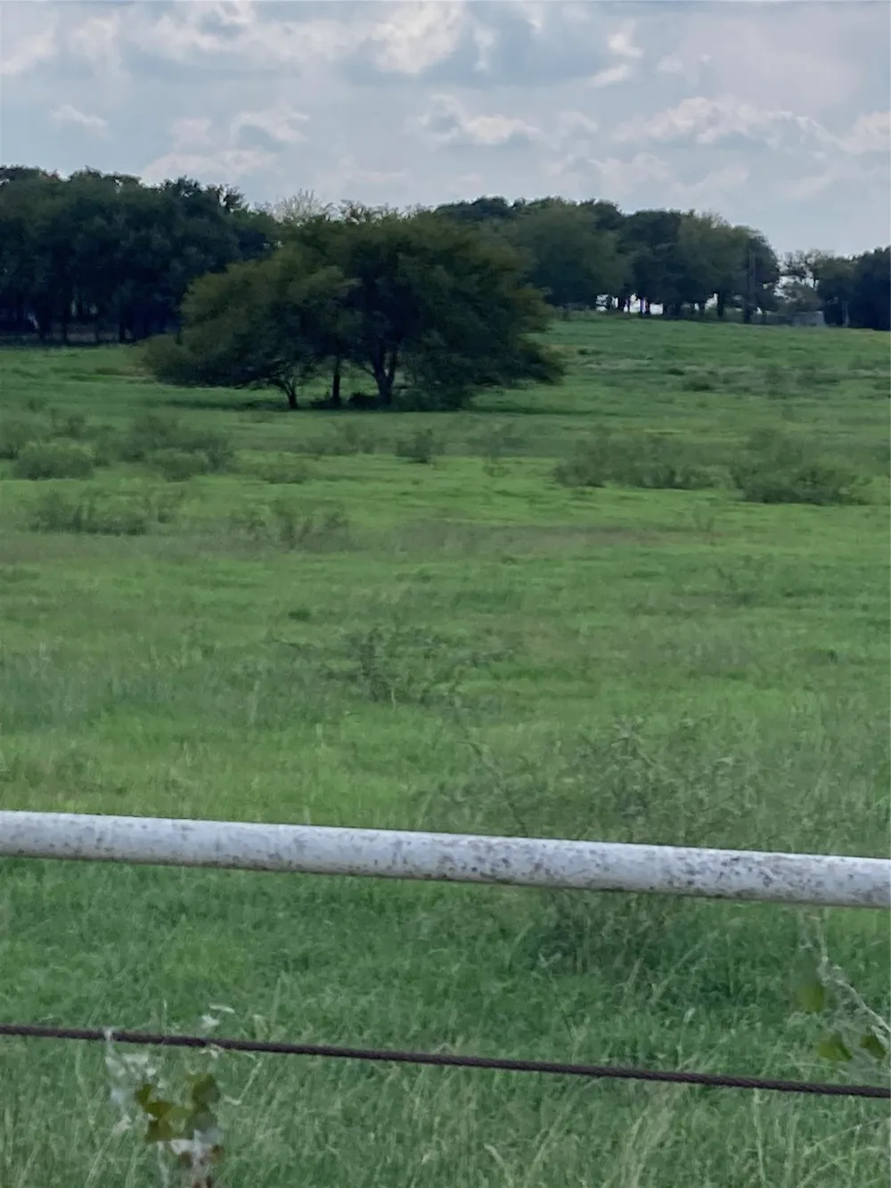 Hcr 1414 Covington, TX 76636