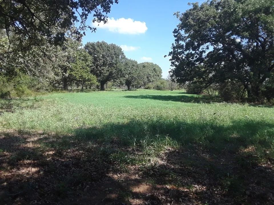 Hcr 1414 Covington, TX 76636