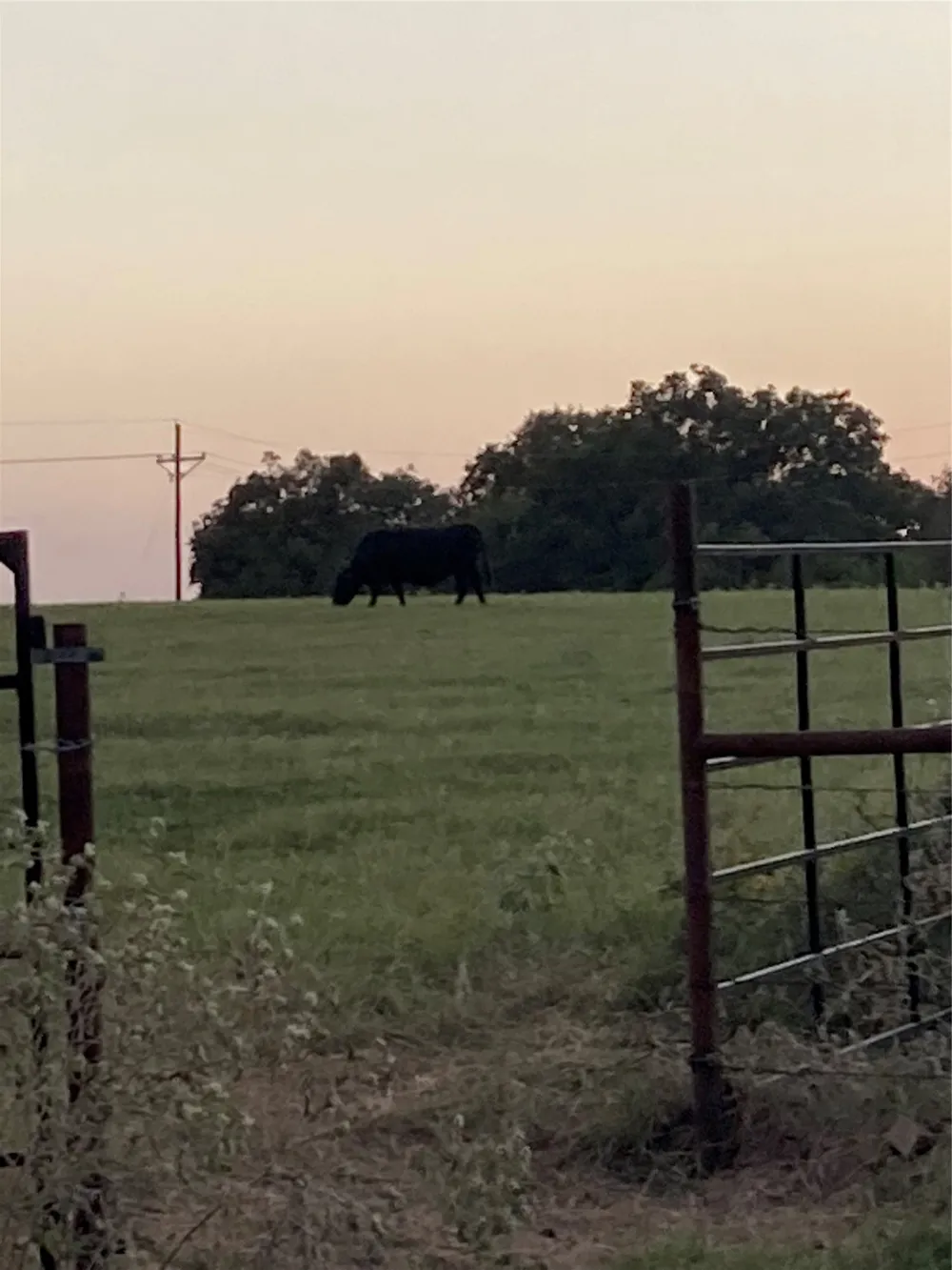 Hcr 1414 Covington, TX 76636