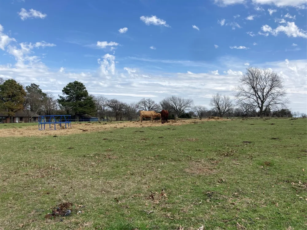Hcr 1414 Covington, TX 76636