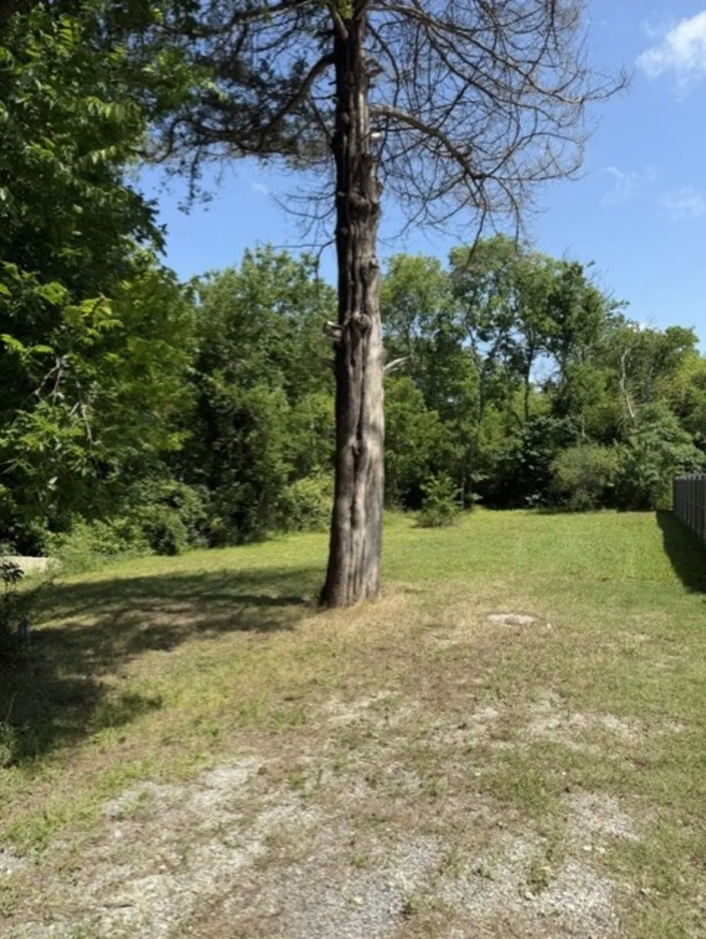 931 E Jefferson Street Van Alstyne, TX 75495
