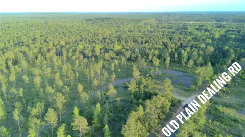 Old Plain Dealing Road
