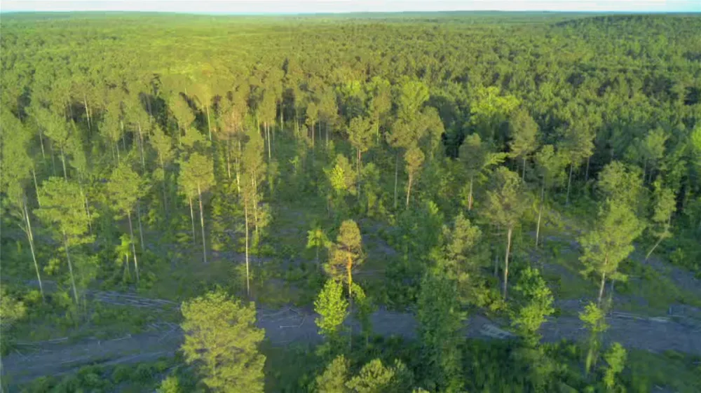 Old Plain Dealing Road Plain Dealing, LA 71064