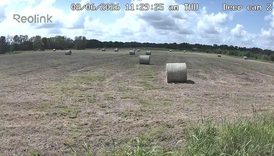 Korthauer Road Bellville, TX 77418