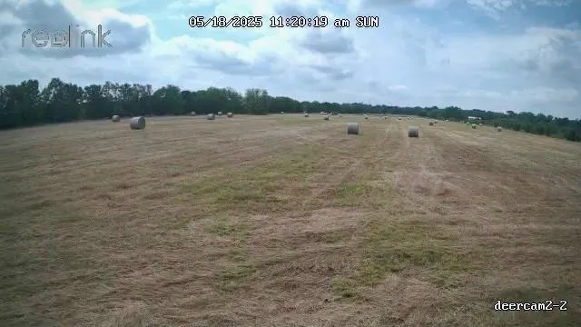 Korthauer Road Bellville, TX 77418