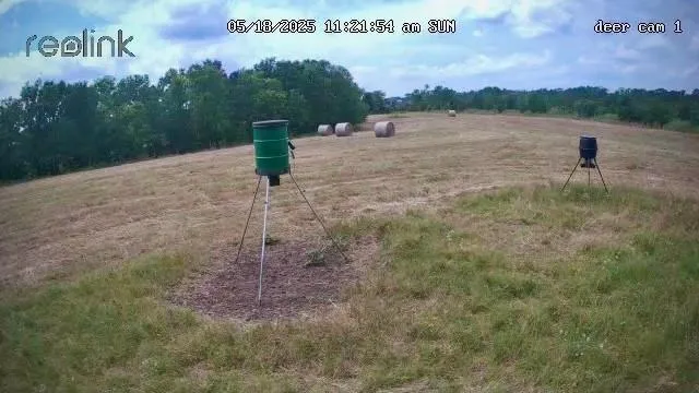 Korthauer Road Bellville, TX 77418