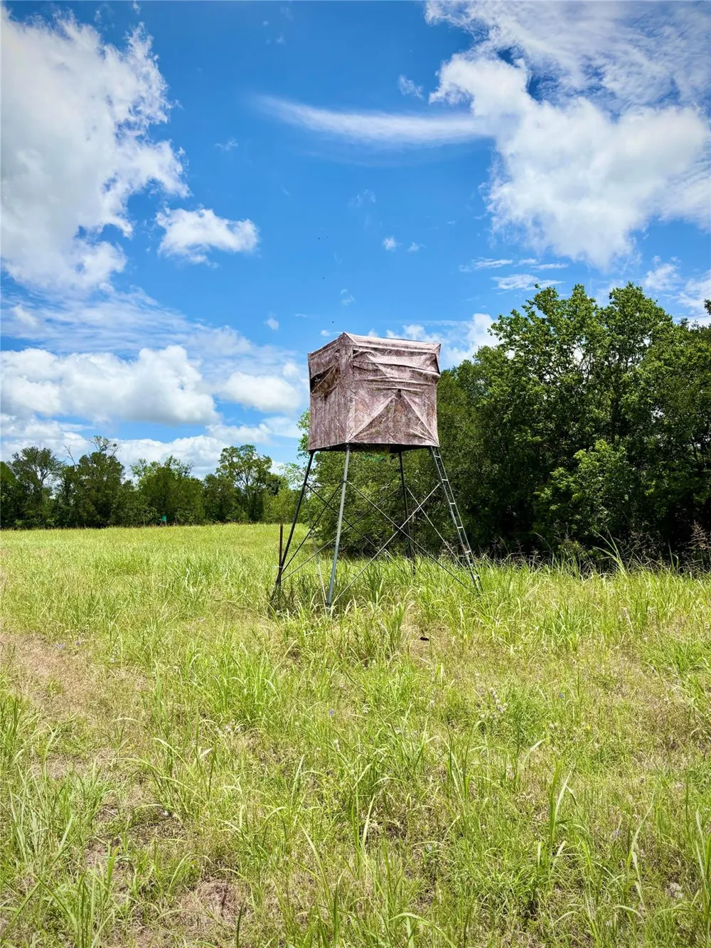 Korthauer Road Bellville, TX 77418
