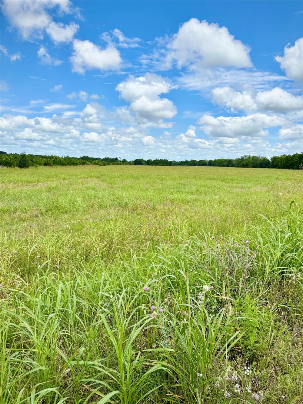 Korthauer Road Bellville, TX 77418
