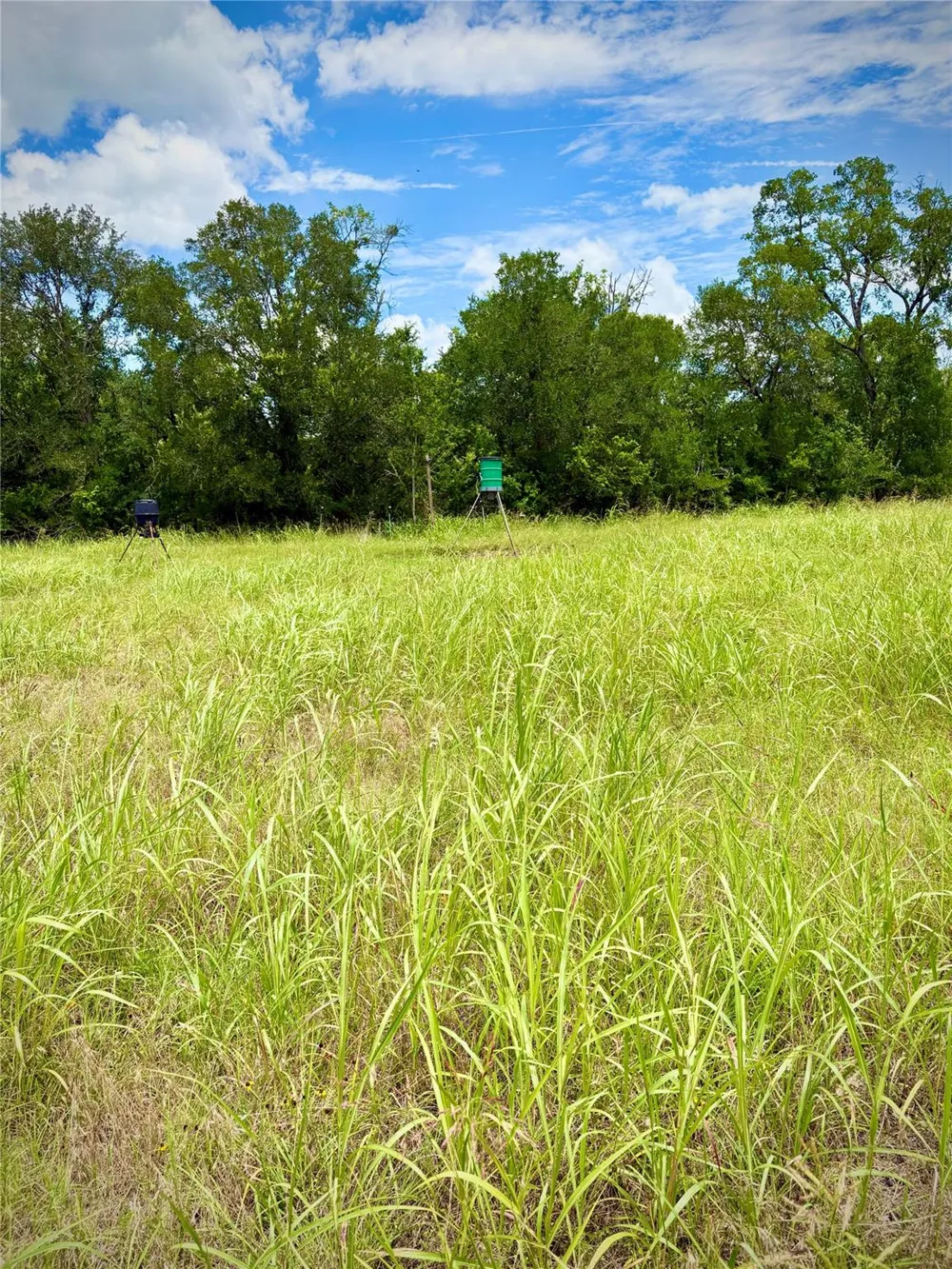 Korthauer Road Bellville, TX 77418