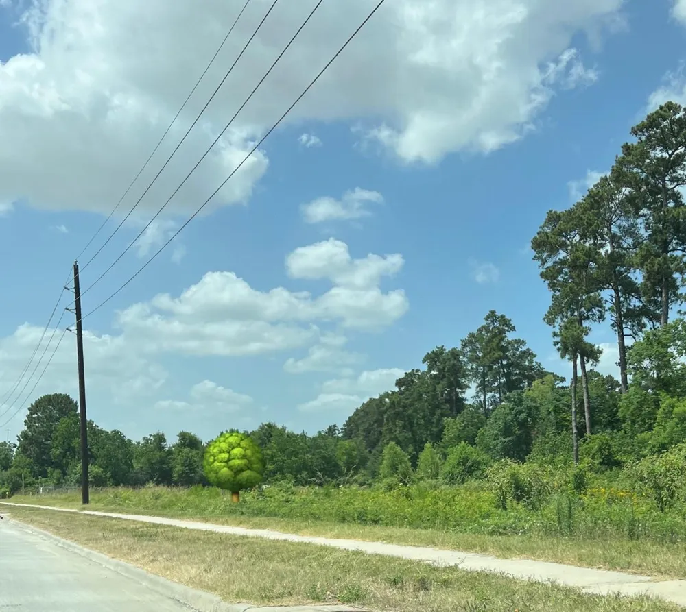 State Highway 249 Tomball, TX 77375