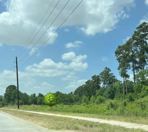 State Highway 249