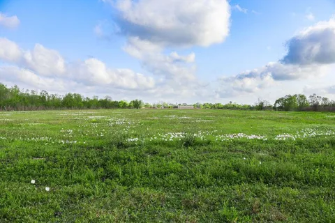 1115 E Fm 1462 Road