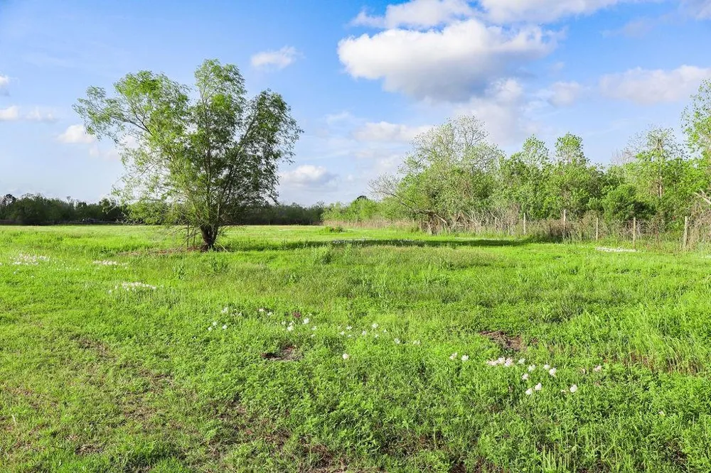 1115 E Fm 1462 Road Rosharon, TX 77583