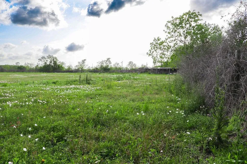 1115 E Fm 1462 Road Rosharon, TX 77583