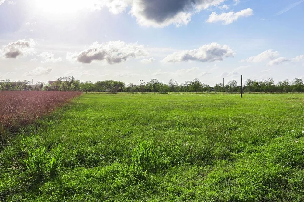 1115 E Fm 1462 Road Rosharon, TX 77583