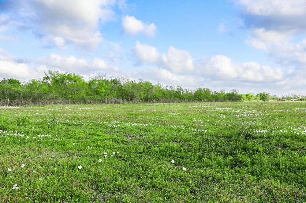 1115 E Fm 1462 Road Rosharon, TX 77583