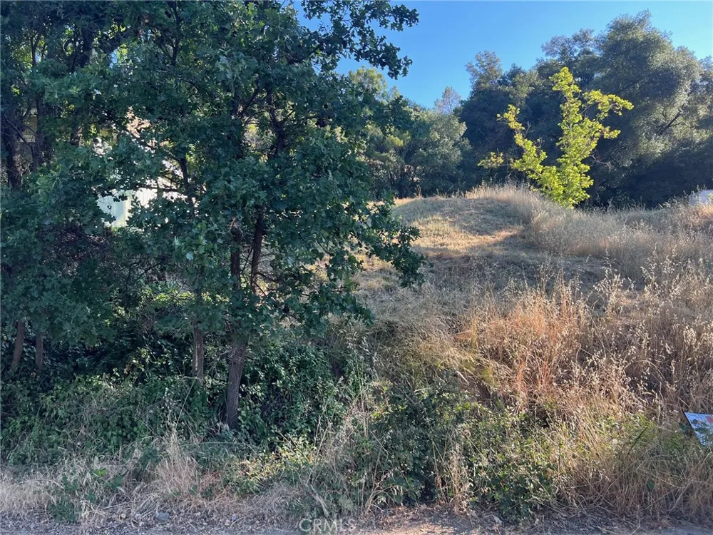 3936 Foothill Lucerne, CA 95458