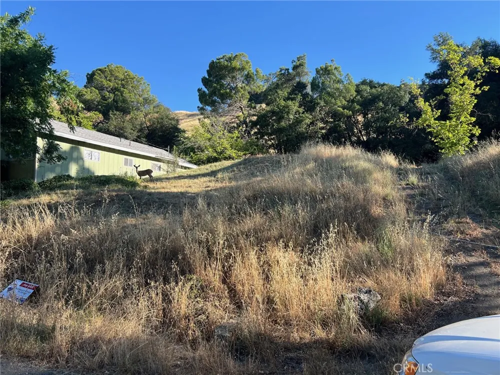 3936 Foothill Lucerne, CA 95458