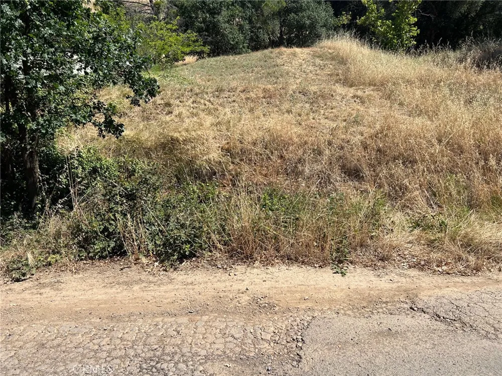 3936 Foothill Lucerne, CA 95458