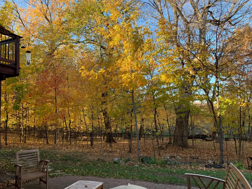 9142 Woodland Drive Saint Bonifacius, MN 55375