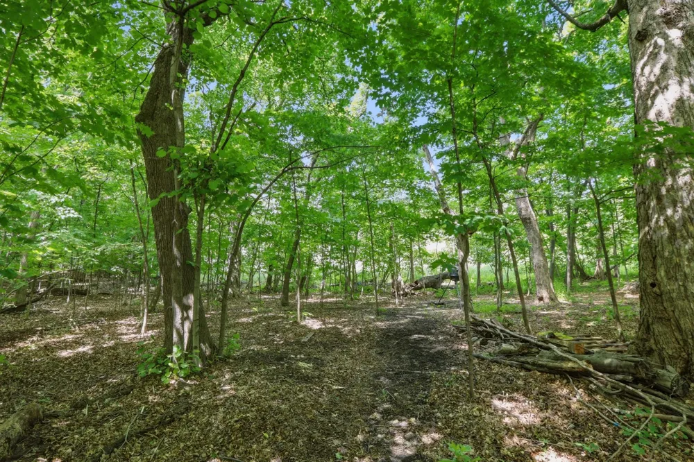 9142 Woodland Drive Saint Bonifacius, MN 55375