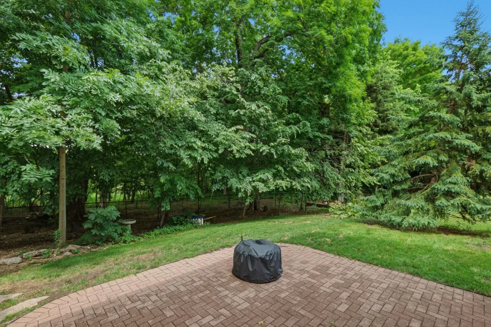9142 Woodland Drive Saint Bonifacius, MN 55375
