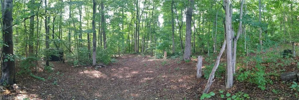 1090 Chestnut Grove Road King, NC 27021