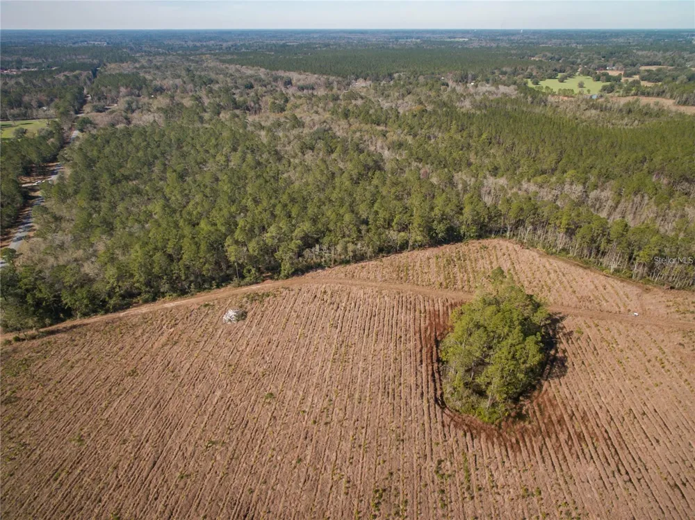 xxxx WEEKS LANE Lake City, FL 32025