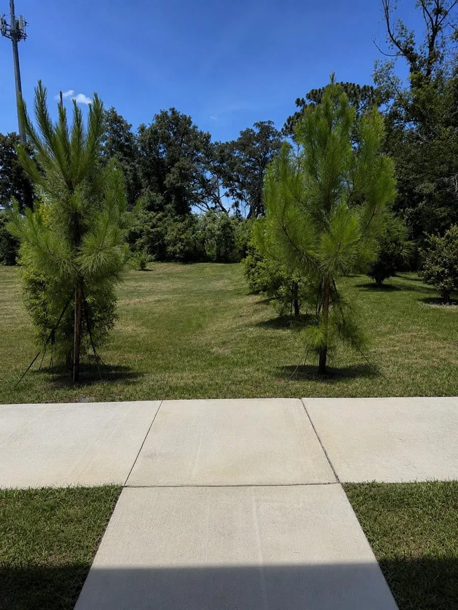4347 CAMBIO GARDENS COURT Tampa, FL 33610