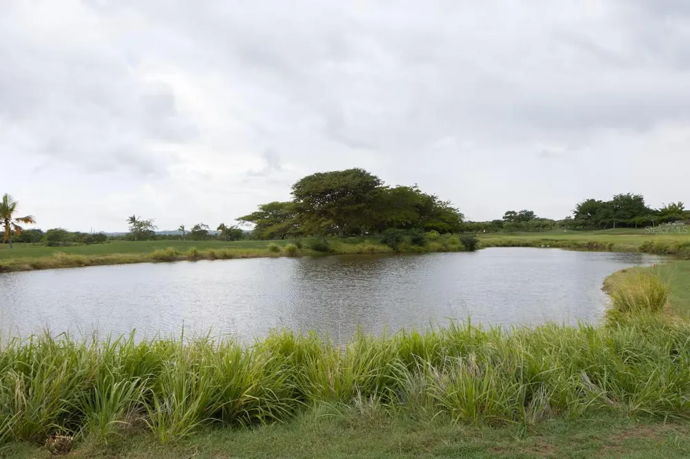 PR-713 KM 2.5 COND. EL LEGADO GOLF RESORT #2412 Guayama, PR 00784