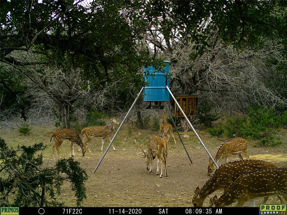 211 Ringtail Road Junction, TX 76849