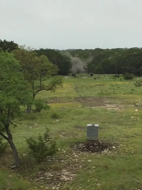 211 Ringtail Road Junction, TX 76849