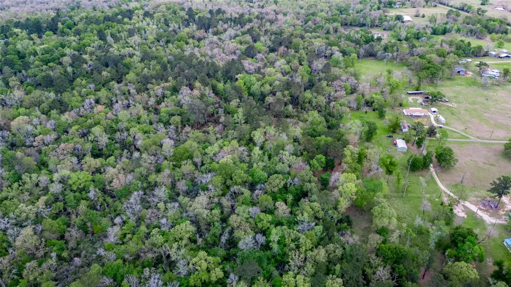 Private Road 1120 Leona, TX 75850