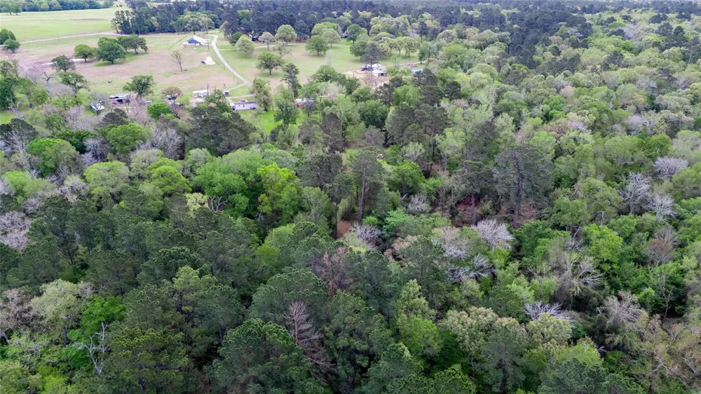 Private Road 1120 Leona, TX 75850