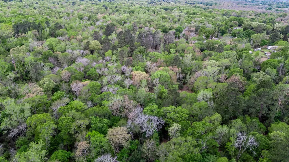 Private Road 1120 Leona, TX 75850