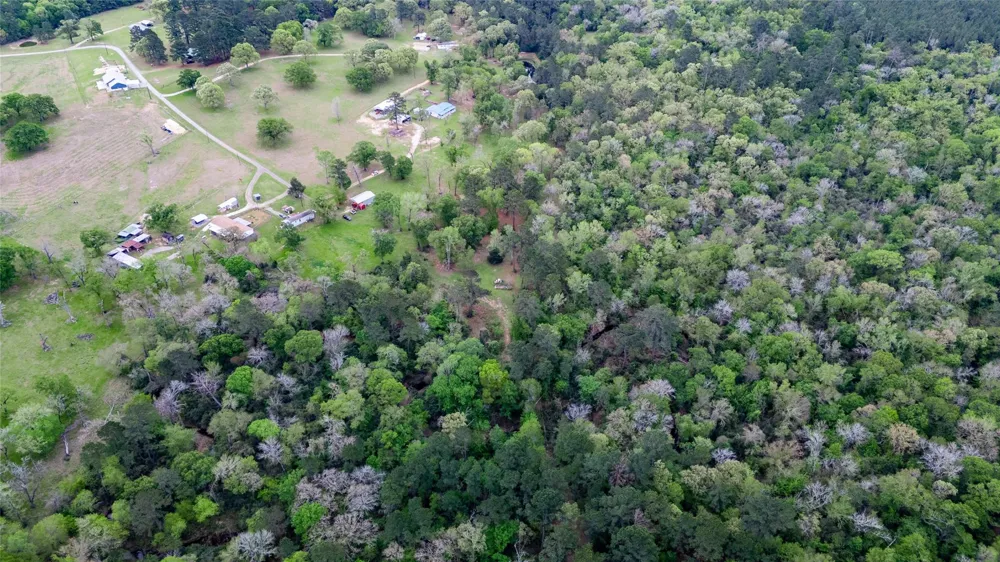 Private Road 1120 Leona, TX 75850
