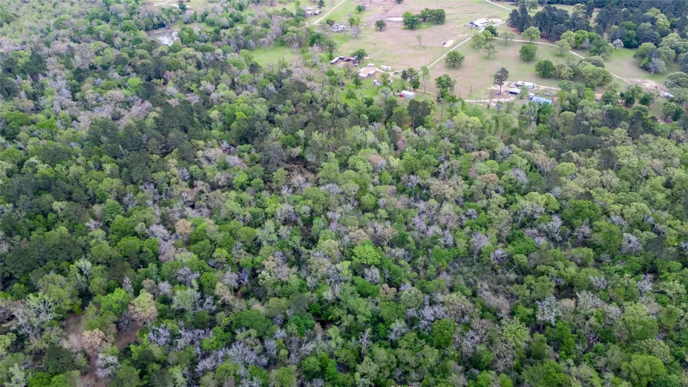 Private Road 1120 Leona, TX 75850