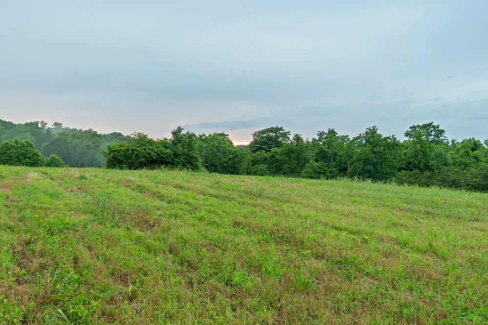 0 Stephens Road Columbia, TN 38401