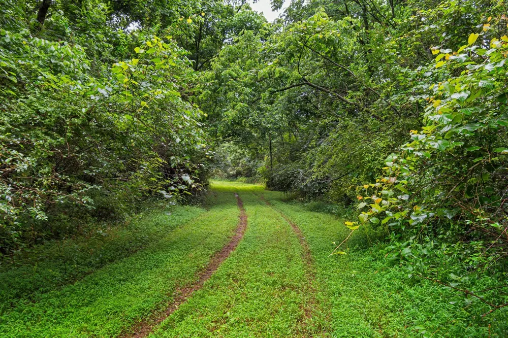 0 Stephens Road Columbia, TN 38401