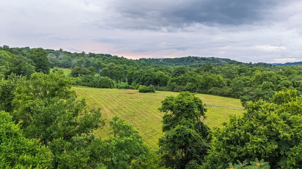 0 Stephens Road Columbia, TN 38401