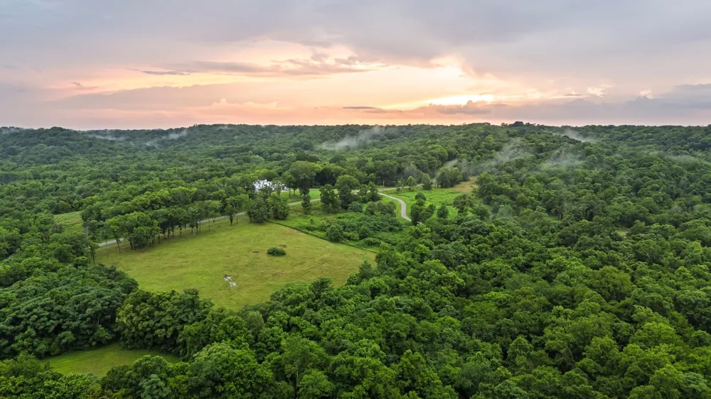0 Stephens Road Columbia, TN 38401