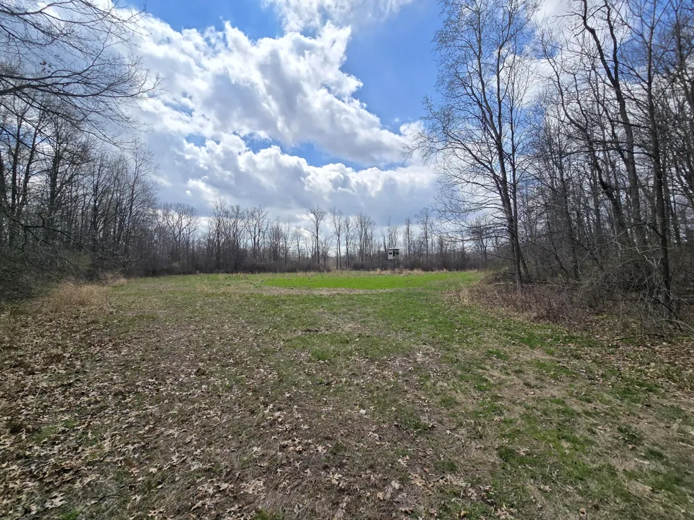 1284 Maple Grove Road Jackson, MI 49201
