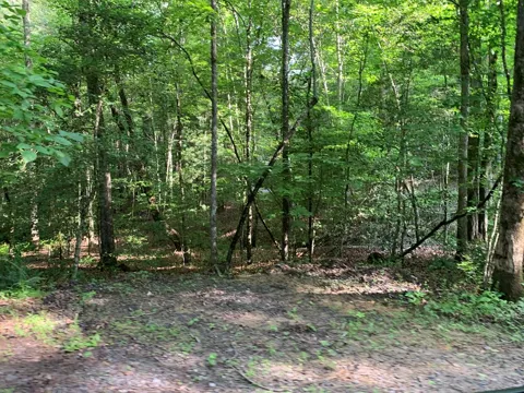 Lot 57 Rainy Farm Road