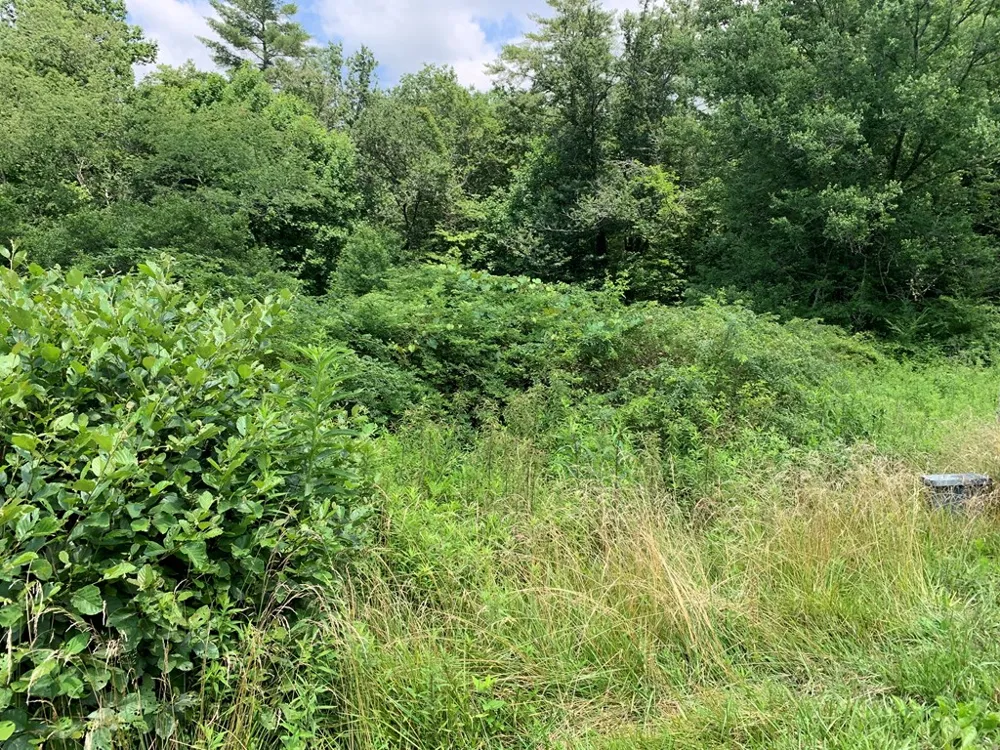 Lot 57 Rainy Farm Road Murphy, NC 28906