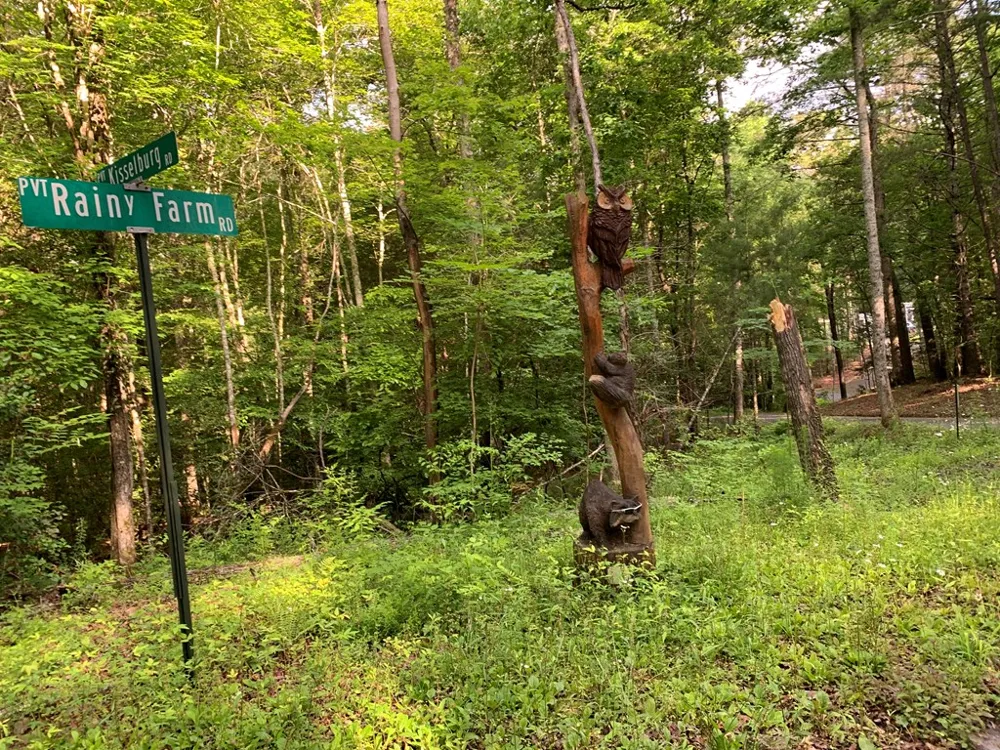 Lot 57 Rainy Farm Road Murphy, NC 28906