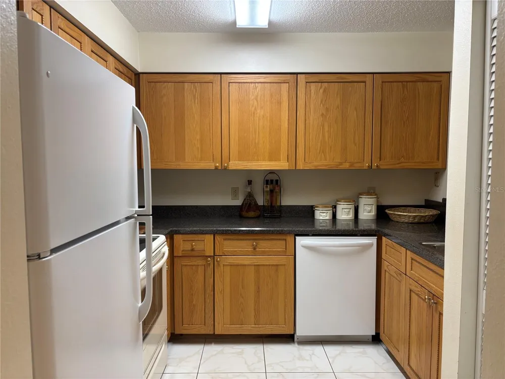 2333 FEATHER SOUND DRIVE #C107 Clearwater, FL 33762