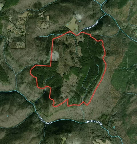 Brayton Mountain Rd Road
