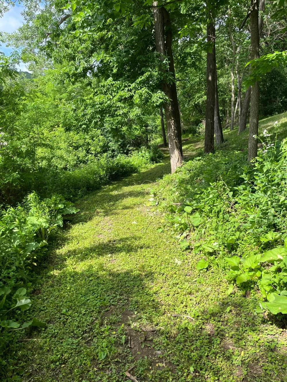 15315 County Road 25 Rollingstone, MN 55969